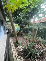Seletar Hills Estate (D28), Semi-Detached #466524361